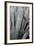 Abstract Agava II-Elizabeth Urquhart-Framed Photo