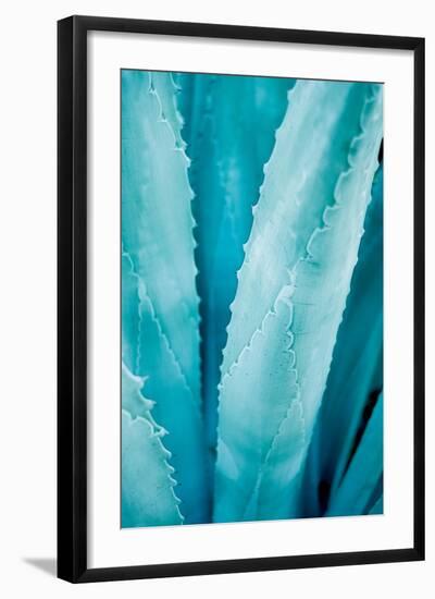 Abstract Agava III Color-Elizabeth Urquhart-Framed Art Print