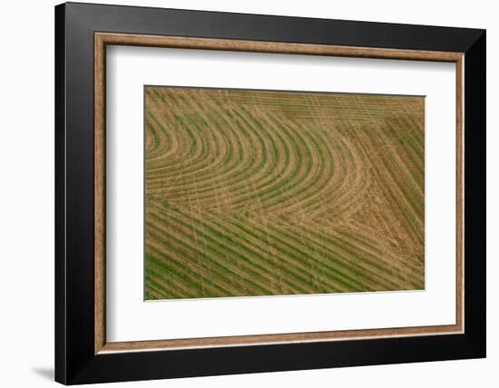 Abstract Air 1-1-Moises Levy-Framed Photographic Print
