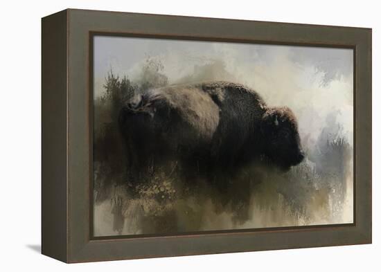 Abstract American Bison-Jai Johnson-Framed Premier Image Canvas