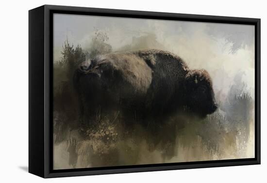 Abstract American Bison-Jai Johnson-Framed Premier Image Canvas