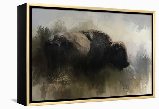 Abstract American Bison-Jai Johnson-Framed Premier Image Canvas