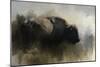 Abstract American Bison-Jai Johnson-Mounted Giclee Print