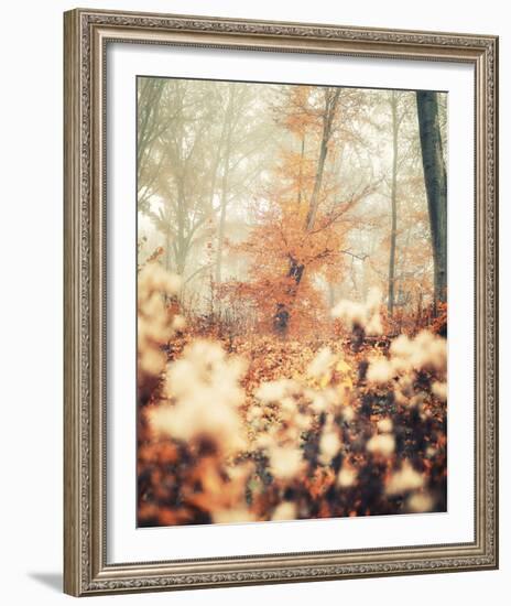 Abstract Autumn-David Keochkerian-Framed Giclee Print