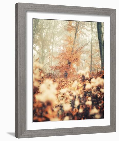 Abstract Autumn-David Keochkerian-Framed Giclee Print
