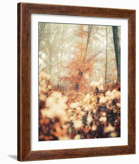 Abstract Autumn-David Keochkerian-Framed Giclee Print