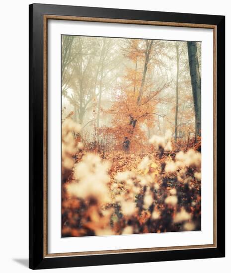 Abstract Autumn-David Keochkerian-Framed Giclee Print