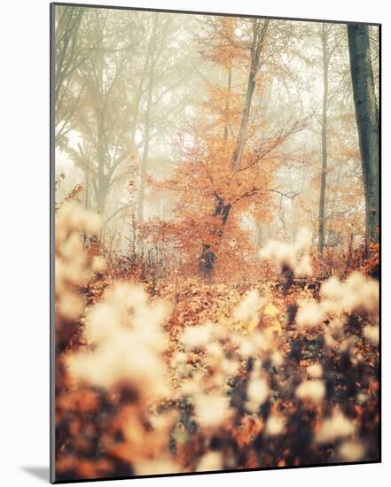 Abstract Autumn-David Keochkerian-Mounted Giclee Print