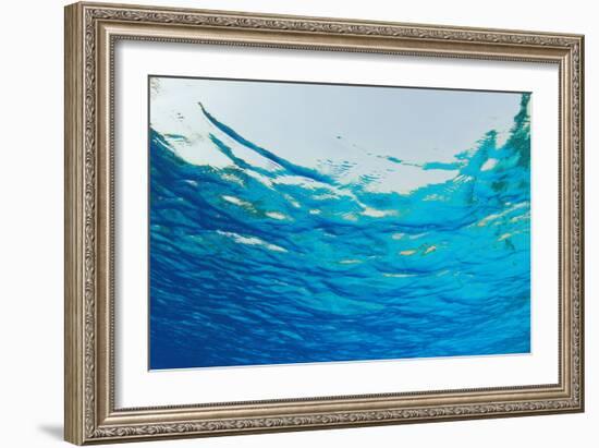 Abstract Background of Blue Water Ripples from Underwater-Rich Carey-Framed Photographic Print