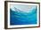 Abstract Background of Blue Water Ripples from Underwater-Rich Carey-Framed Photographic Print