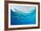 Abstract Background of Blue Water Ripples from Underwater-Rich Carey-Framed Photographic Print