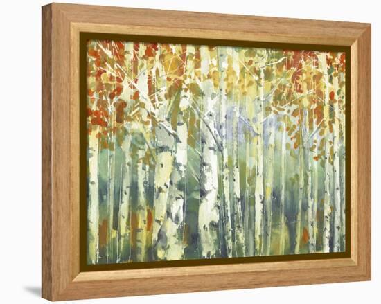 Abstract Birch Trees Warm-Marietta Cohen Art and Design-Framed Premier Image Canvas