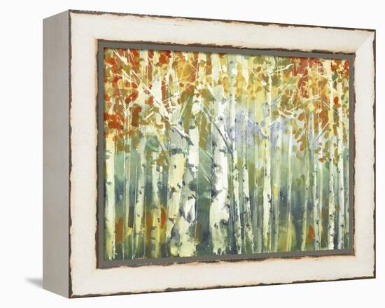 Abstract Birch Trees Warm-Marietta Cohen Art and Design-Framed Premier Image Canvas