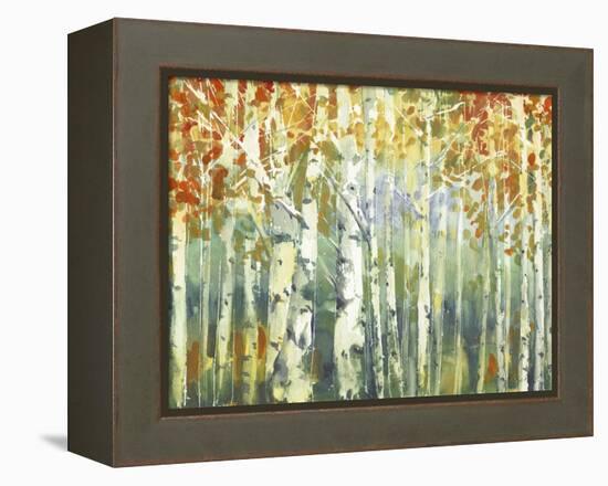 Abstract Birch Trees Warm-Marietta Cohen Art and Design-Framed Premier Image Canvas