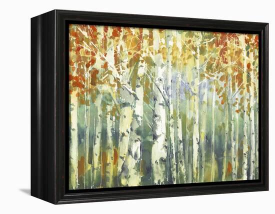 Abstract Birch Trees Warm-Marietta Cohen Art and Design-Framed Premier Image Canvas