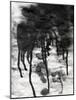 Abstract Black And White Ink Painting On Grunge Paper Texture - Artistic Stylish Background-run4it-Mounted Art Print