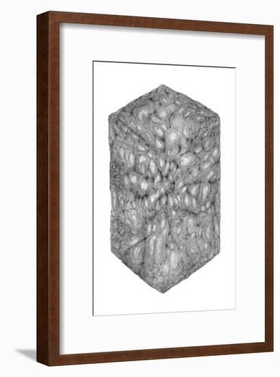 Abstract Black Hexagon Room-Ryuichirou Motomura-Framed Art Print