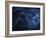 Abstract Blue Illustration-null-Framed Photographic Print