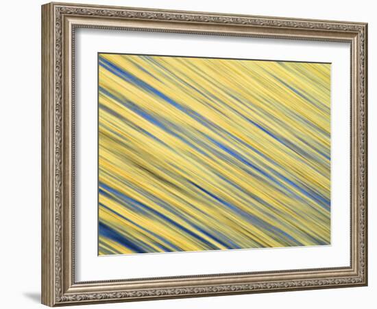 Abstract Blur of Pacific Ocean Water at Dawn, La Jolla, California, USA-Arthur Morris-Framed Photographic Print