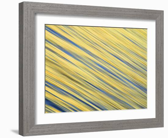 Abstract Blur of Pacific Ocean Water at Dawn, La Jolla, California, USA-Arthur Morris-Framed Photographic Print