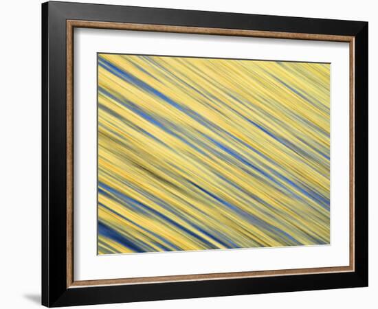 Abstract Blur of Pacific Ocean Water at Dawn, La Jolla, California, USA-Arthur Morris-Framed Photographic Print