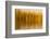 Abstract, Blur of Trees and Reflections in Water-Rona Schwarz-Framed Photographic Print