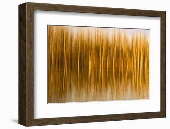 Abstract, Blur of Trees and Reflections in Water-Rona Schwarz-Framed Photographic Print
