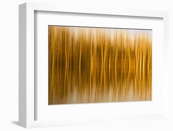 Abstract, Blur of Trees and Reflections in Water-Rona Schwarz-Framed Photographic Print