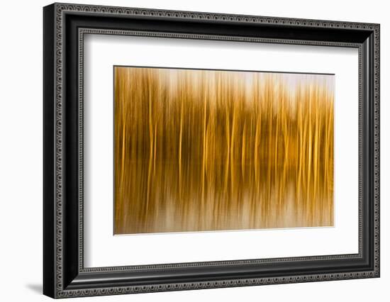 Abstract, Blur of Trees and Reflections in Water-Rona Schwarz-Framed Photographic Print