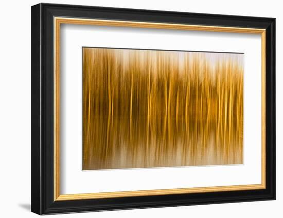 Abstract, Blur of Trees and Reflections in Water-Rona Schwarz-Framed Photographic Print