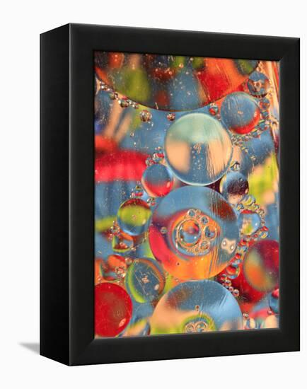 Abstract Bubbles and Colors, Savannah, Georgia, USA-Joanne Wells-Framed Premier Image Canvas