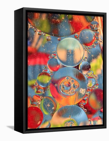 Abstract Bubbles and Colors, Savannah, Georgia, USA-Joanne Wells-Framed Premier Image Canvas