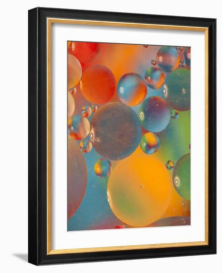 Abstract Bubbles and Colors, Savannah, Georgia, USA-Joanne Wells-Framed Photographic Print