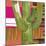 Abstract Cactus-Robbin Rawlings-Mounted Art Print