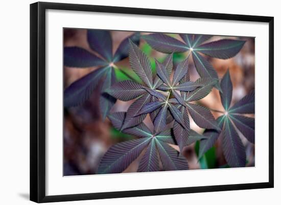 Photo, , large