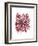 Abstract Dahlia-Kiana Mosley-Framed Art Print