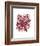 Abstract Dahlia-Kiana Mosley-Framed Art Print