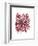 Abstract Dahlia-Kiana Mosley-Framed Art Print