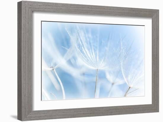 Abstract Dandelion Background-Anna Omelchenko-Framed Art Print