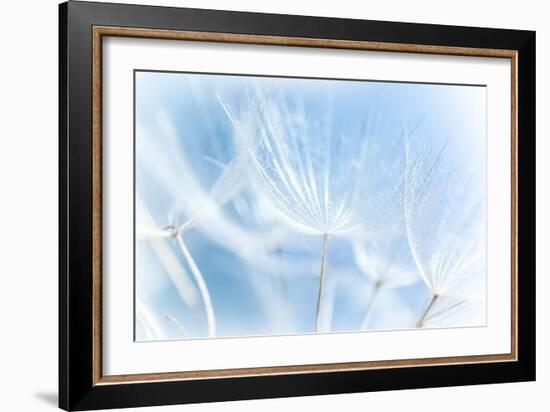 Abstract Dandelion Background-Anna Omelchenko-Framed Art Print