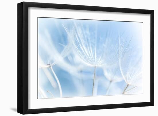 Abstract Dandelion Background-Anna Omelchenko-Framed Art Print