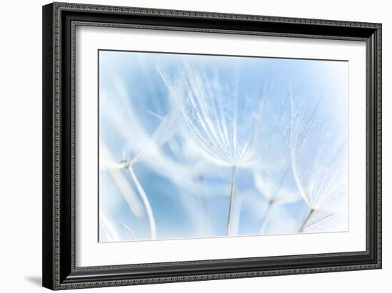 Abstract Dandelion Background-Anna Omelchenko-Framed Art Print