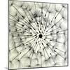 Abstract Dandelion Illustration Spring Concept-Kristaps Eberlins-Mounted Premium Giclee Print