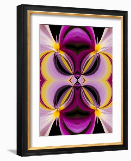 Abstract design.-Jaynes Gallery-Framed Photographic Print