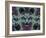 Abstract design.-Jaynes Gallery-Framed Photographic Print