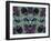 Abstract design.-Jaynes Gallery-Framed Photographic Print