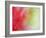 Abstract Detail of Baja Fairy Duster Shrub, Baja California, Mexico-Dennis Flaherty-Framed Photographic Print