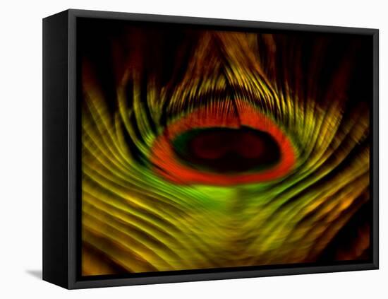 Abstract Flight-Clive Nolan-Framed Premier Image Canvas