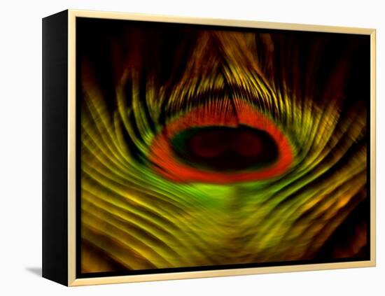 Abstract Flight-Clive Nolan-Framed Premier Image Canvas