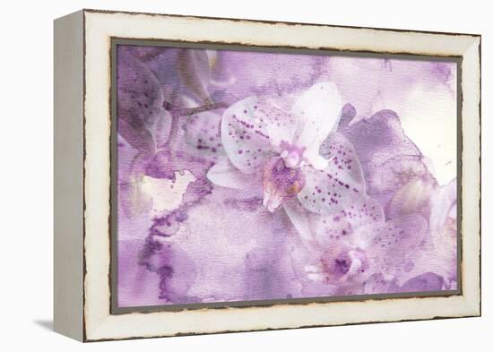 Abstract Floral Background- Watercolor Grunge Texture-run4it-Framed Stretched Canvas